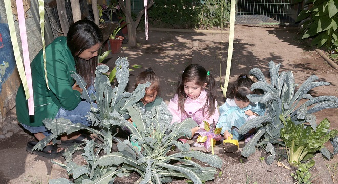Siembra Cambio:“Los niños deben recibir educación medio ambiental”
